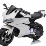 MOTO ELECTRICA HOLLICY 24V